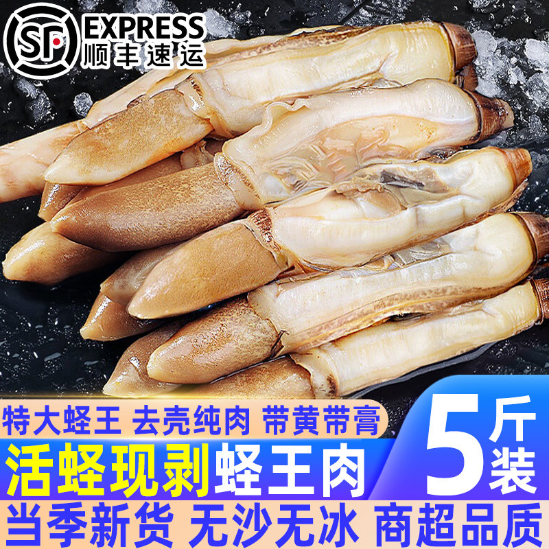 新鲜蛏王肉鲜活冷冻竹节蛏子现剥海捕野生蛏子肉贝类海鲜水产批发