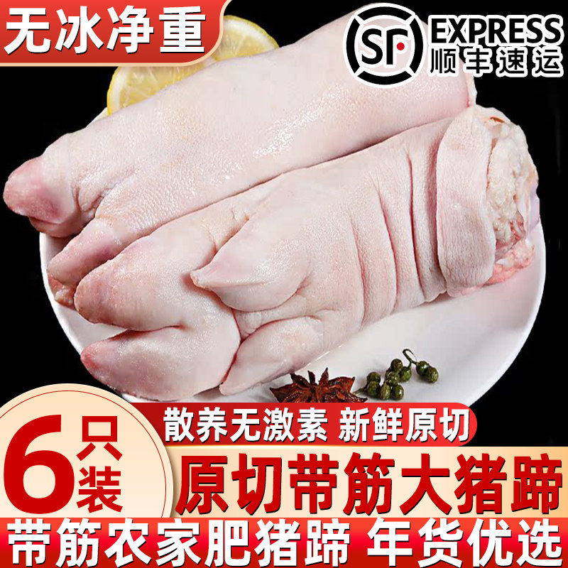 新鲜猪蹄子速冻带筋猪蹄猪脚新鲜猪手前蹄后蹄生鲜一整箱商用批发