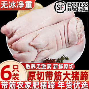 新鲜猪蹄子速冻带筋猪蹄猪脚新鲜猪手前蹄后蹄生鲜一整箱商用批发