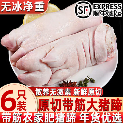 速冻带筋整箱商用猪蹄