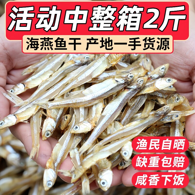 海燕鱼干带头去内脏海燕鱼干小公鱼公干鱼咸鱼干海鲜干货小鱼干