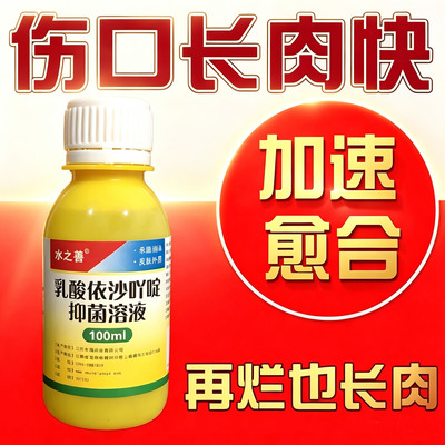 伤口愈合长肉快卧床老人臀部烂肉快速结痂长肉空洞修复粉