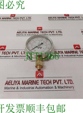 原装供应泰斯EN837.1压力表0-6连接