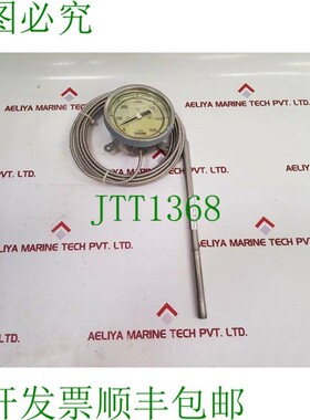 原装供应Rueger 0 至 600 °c 温度计