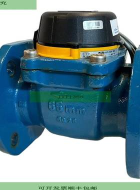 Woltmann WP-MF65 Wasserz?hler f&uuml;r industriellen Ein