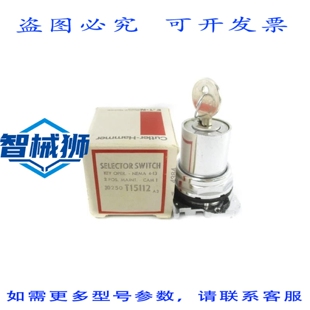原装供应 卡特勒·汉默 10250T15112 SER.A3 NSMP