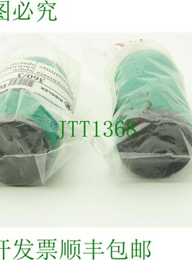 原装供应Riegler 360/3 1/2 英寸压缩空气过滤器绿色 2 件套