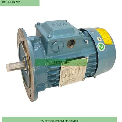 3GBA081310-ASCCN009 Elektromotor 50Hz 220-230V 380-400V