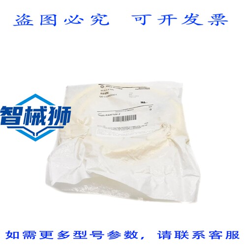 原装供应 罗克韦尔AB 889N-R4AFNM-2 SER.B NSMP
