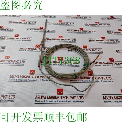 原装供应Endress + Hauser TSC310-BEBJ228J 卡沃 Sonda 250mm