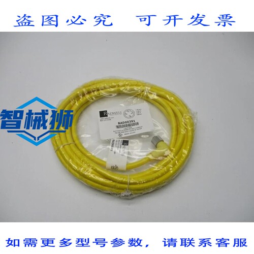 原装供应 RADWELL RAD00391 NSMP