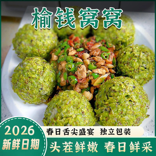 榆钱窝窝头榆钱新鲜2024当季榆钱子树叶馒头槐花营养早餐速食品