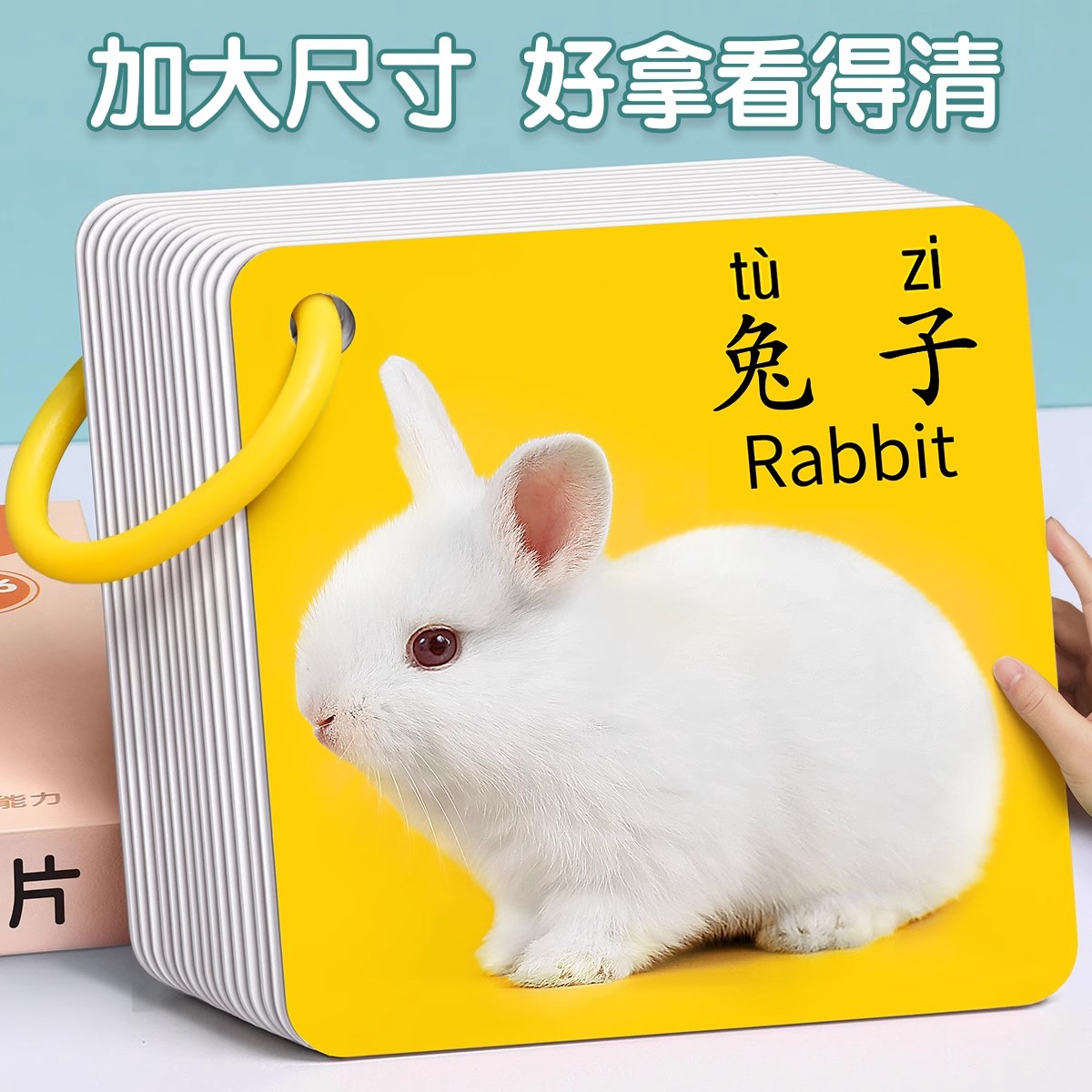 动物卡片看图识物益智玩具