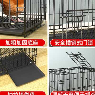 农村养鸡笼专业楼顶养鸡笼鸡生蛋笼母鸡下蛋笼阳台无臭养鸡笼大号