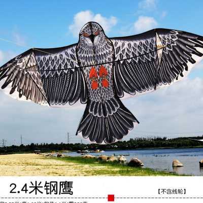 2022新品潍坊24米36米大钢鹰金鹰棕鹰黑鹰大型成人风筝线轮微风