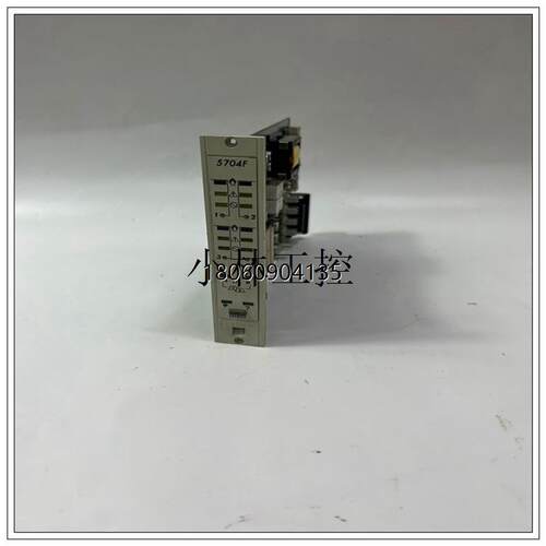 GE     IC200ERM002模块卡件现货