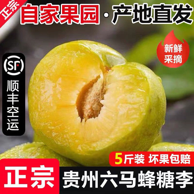 贵州正宗蜂糖李现摘脆甜爆汁