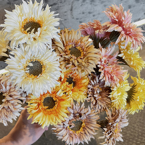 RoomTour干花系非洲菊仿真花花束