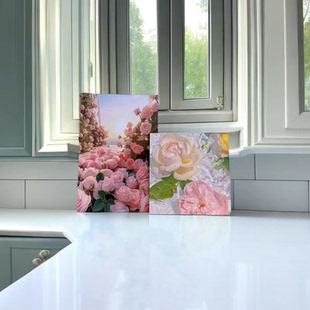 轻奢高级感直播背景摆件画ins装饰画电视柜梳妆台玄关床头装饰画