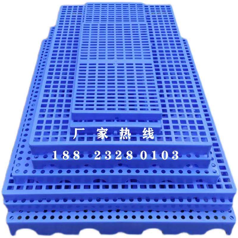 地台垫仓板硬塑料网格板隔潮垫狗笼垫板漏粪板栈板托盘仓库防潮板