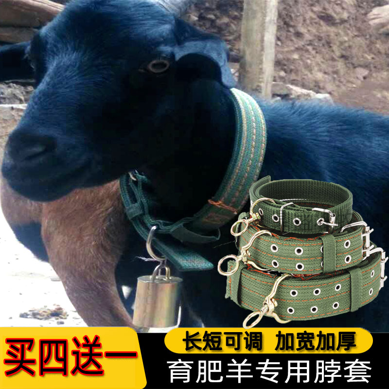 羊脖套羊绳子羊颈圈铃铛买四送一