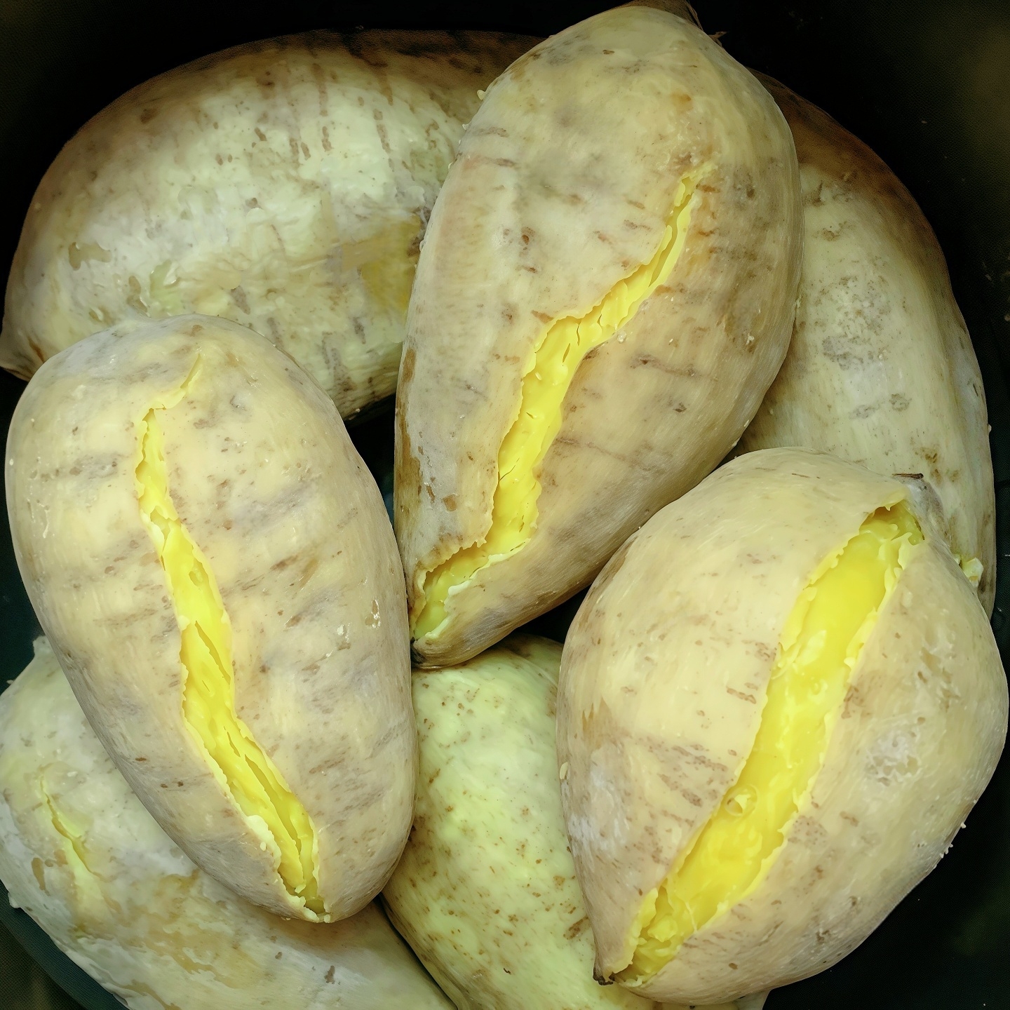 广东潮汕新鲜白皮黄肉板栗红薯