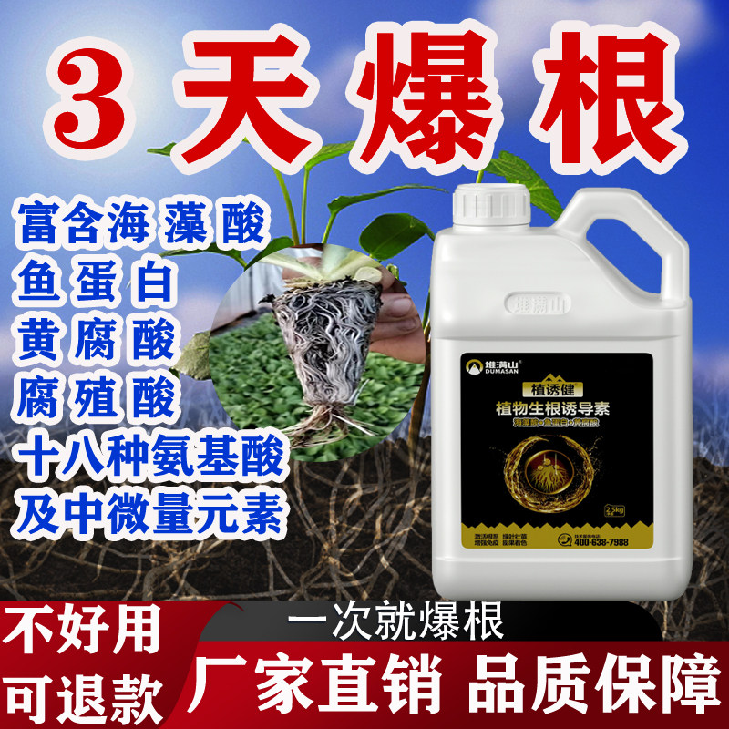 植物活性生根剂果树花卉移栽扦插育苗生根液猛生根壮苗剂冲施肥料,农用物资,叶面肥,淘宝优惠券,粉丝福利购,淘宝优惠卷