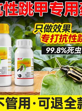 20%黄条跳甲虫啶虫脒杀虫剂