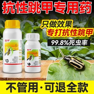 20%黄条跳甲虫专用药青菜蔬菜花卉果树特啶虫脒跳甲虫农药杀虫剂