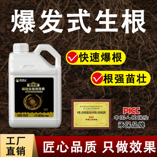 农用爆力生根液生根壮苗水溶肥