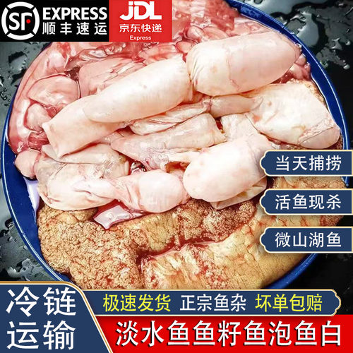 微山湖鱼籽鱼泡鱼白鱼肚活杀现取