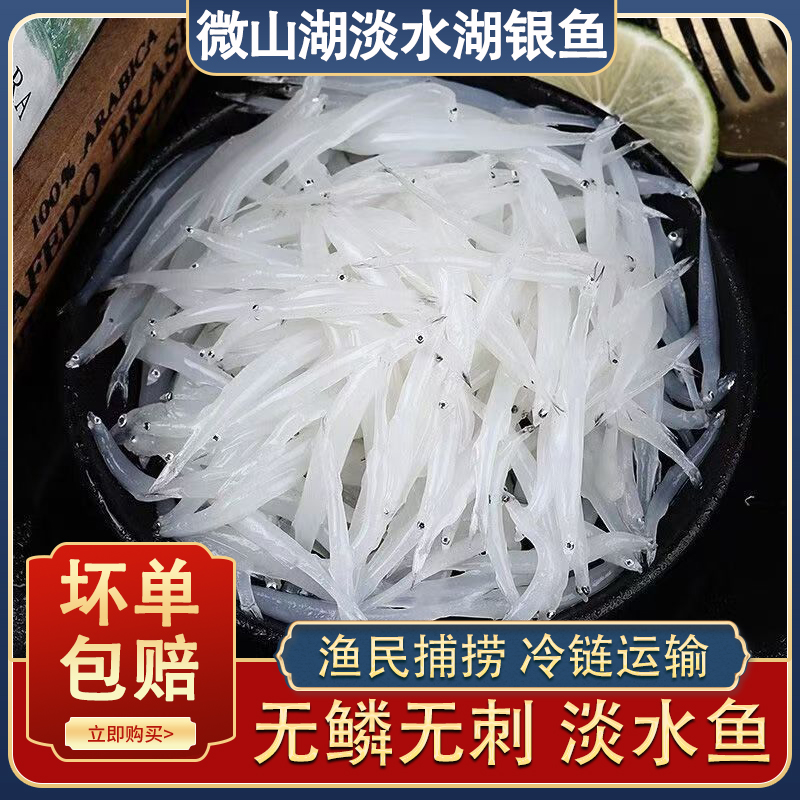 微山湖新鲜银鱼淡水鱼营养滋补宝宝辅食用小银鱼新鲜水产无鳞无刺