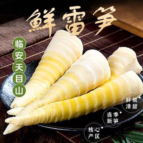 临安雷笋新鲜竹笋商用笋天目山大竹笋鲜笋尖火锅食材清汁笋脆鲜笋