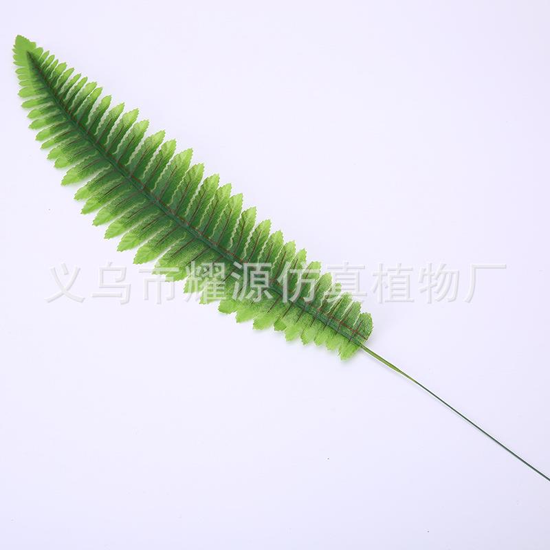 丝印波斯叶蕨类仿真植物气氛布置装饰植物塑料花草植物