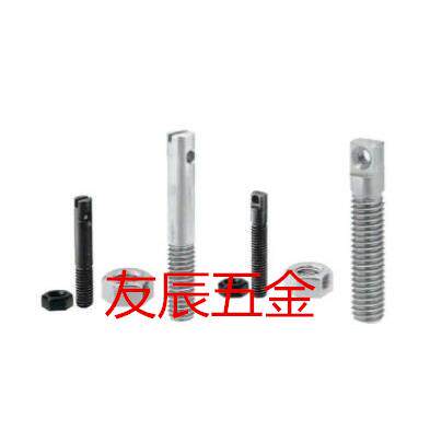 SAIPO10/12-20/25/30/35/40两平面颈部半螺纹型弹簧用支柱FFD11