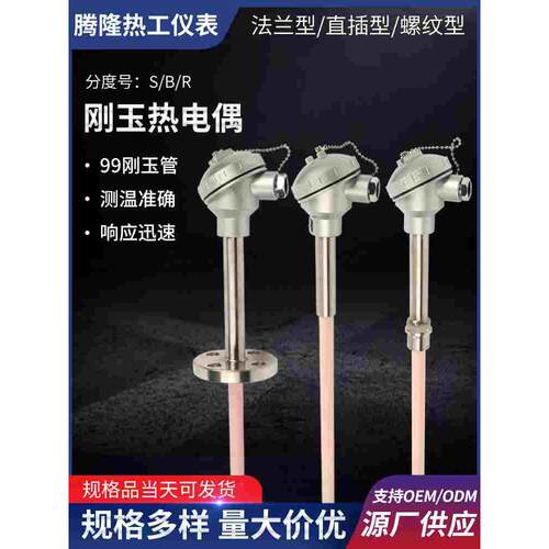 S型铂铑热电偶WRP-130/0-1600度耐高温99刚玉管进口丝温度传感器