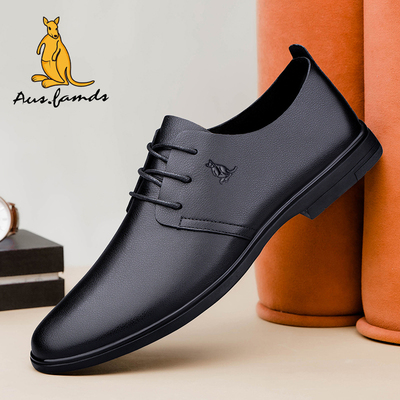 澳洲名袋鼠秋季加厚休闲皮鞋男