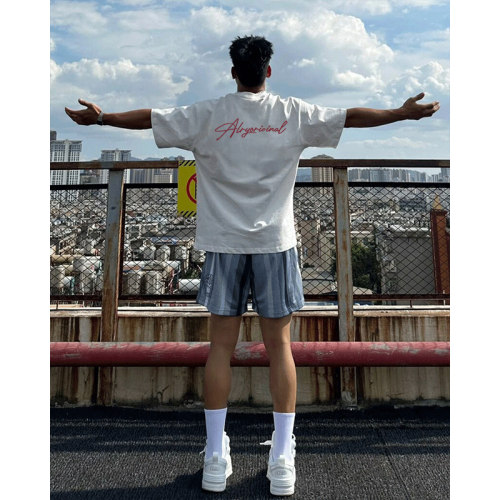 cleanfit重磅纯棉短袖t恤男宽松
