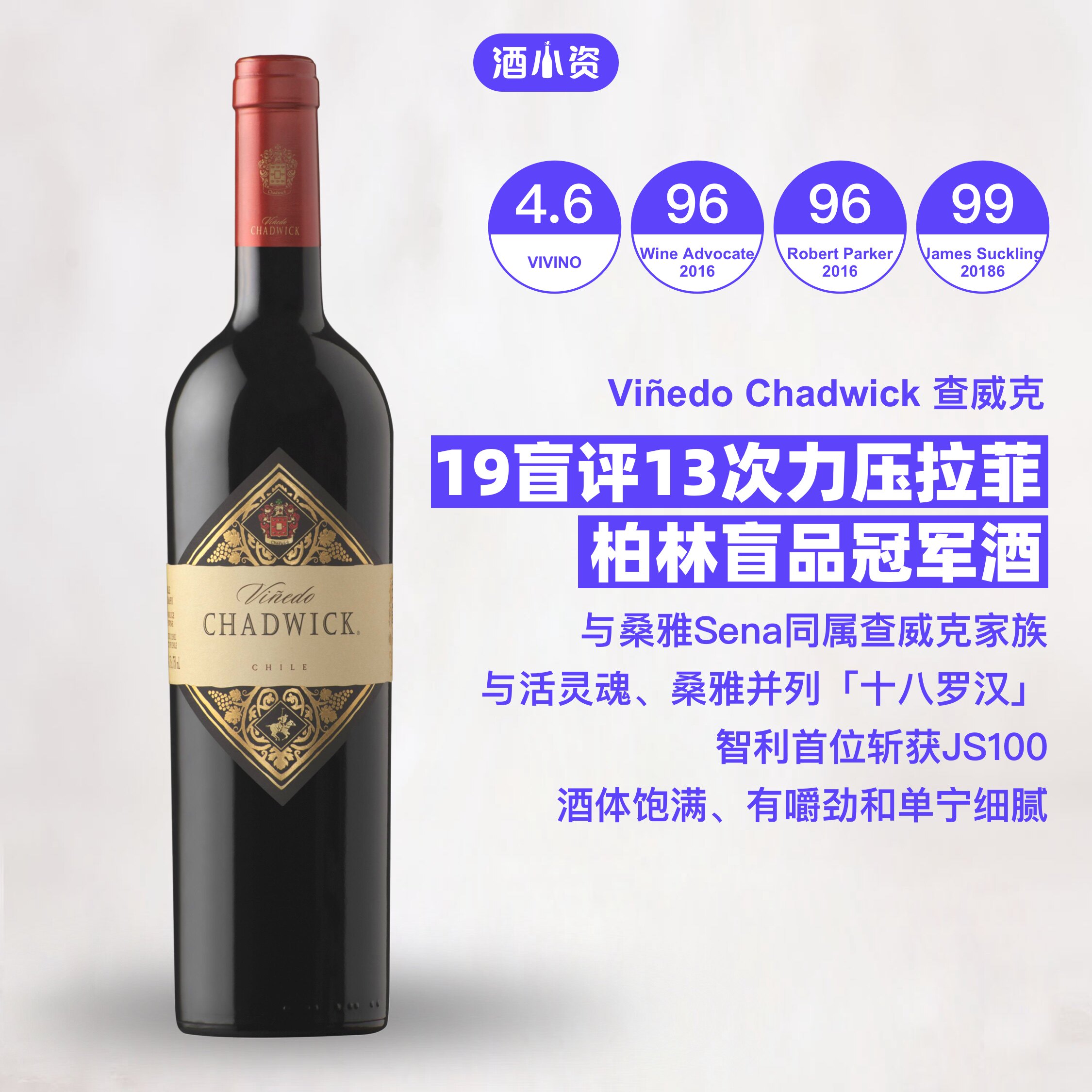 智利十八罗汉 鼎级名庄伊拉苏酒庄查威克干红 vinedo chadwick