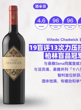 智利十八罗汉 鼎级名庄伊拉苏酒庄查威克干红 Vinedo Chadwick