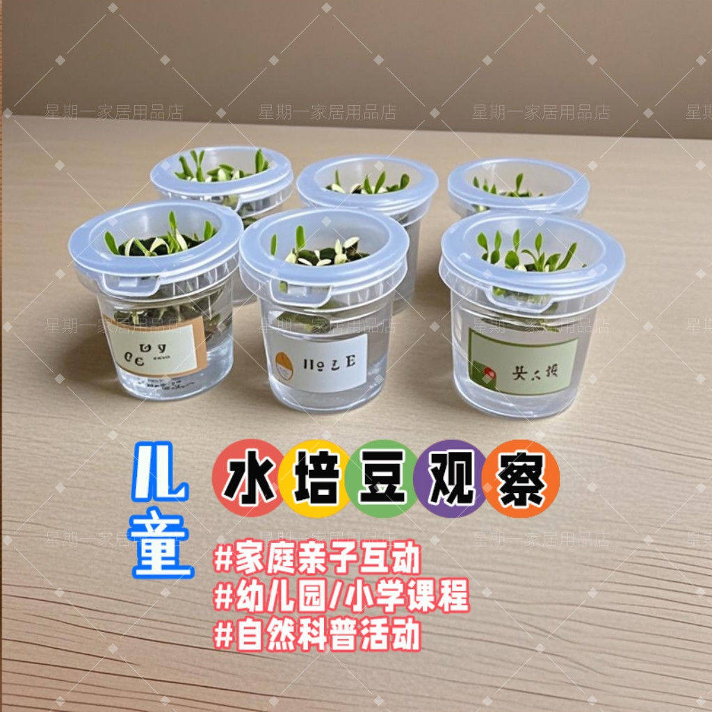 老师推荐幼儿园小学水培植物