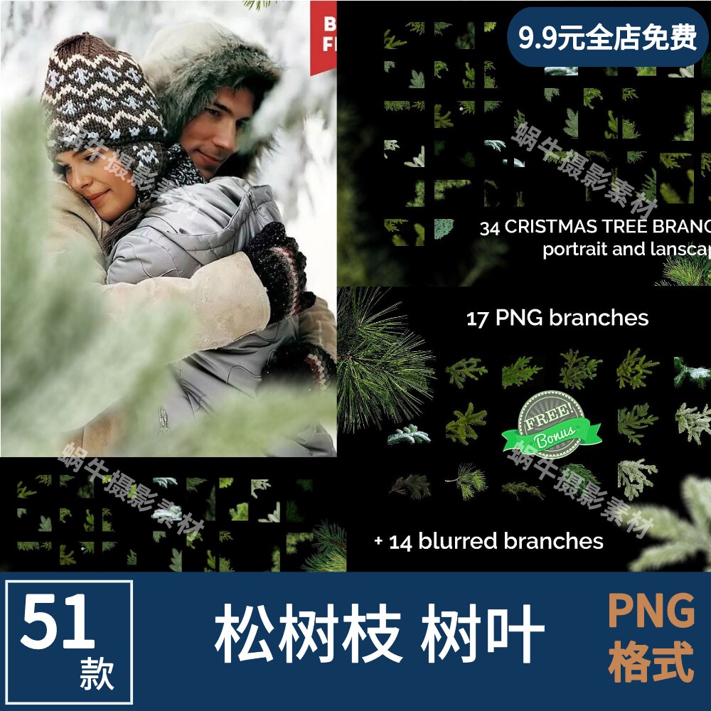 针叶松树树枝遮罩遮挡照片后期前景合成叠加免抠png图片设计素材