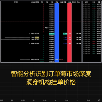 TradingView加密货币订单流辅助价格行为交易系统订单薄指标策略