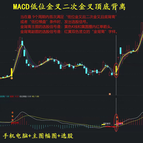金背离MACD高级战法低位金叉二次金叉顶底背离通达信精品指标公式