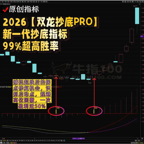 【双龙抄底PRO】副图选股 10年回测达99%超高胜率 新一代抄底指标