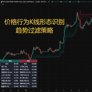 TradingView加密货币价格行为K线形态智能分析趋势过滤指标策略