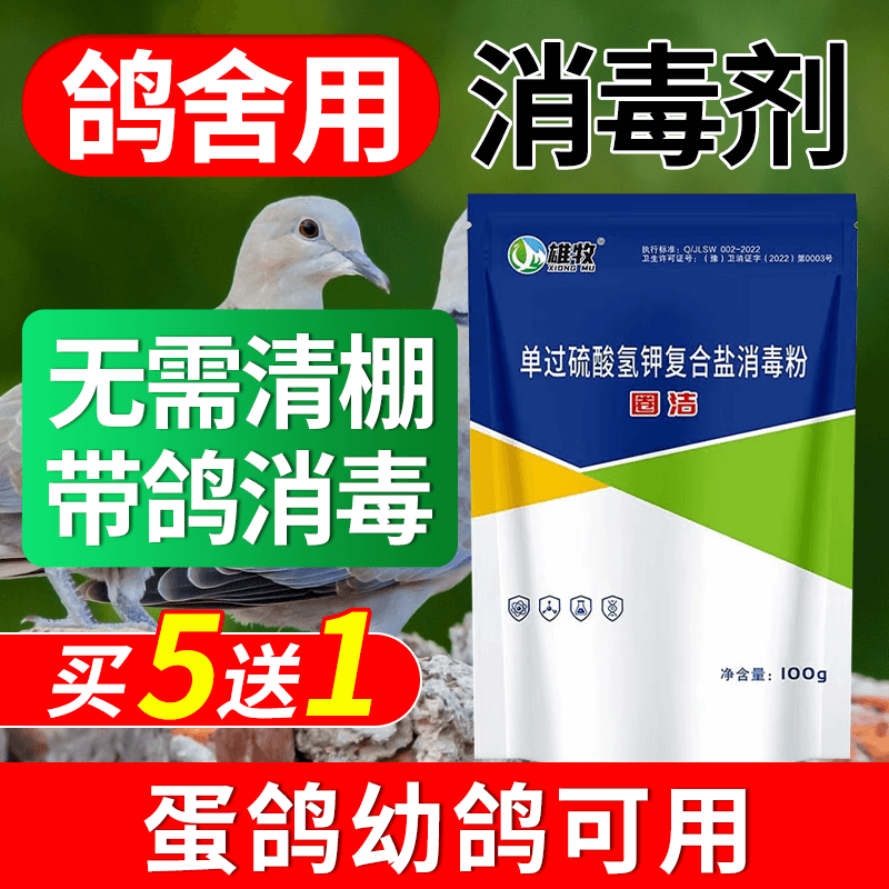 鸽舍专用消毒液过硫酸氢钾消毒剂鸽棚消毒鸽子笼消毒液养殖场专用