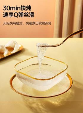 天际（家电） DGD3-3PWG全际燕窝花胶DGD3-3PW天鱼隔水炖盅燕机自