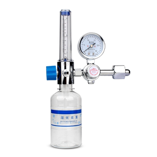医用氧气瓶流量表登月DY-C减压阀浮标式氧气吸入器湿化瓶带氧气管