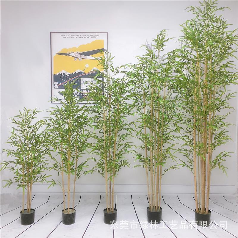 田园装饰竹子隔断绿植富贵竹落地